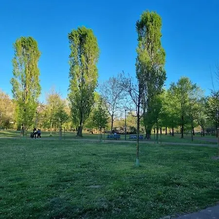 Apartment Lambrate Charming Vicino A Aeroporto Linate Metro4 E Ospedale San Raffaele Milan